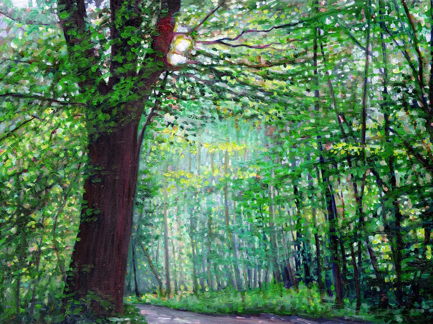 Dappled Path, 2026, oil on canvas