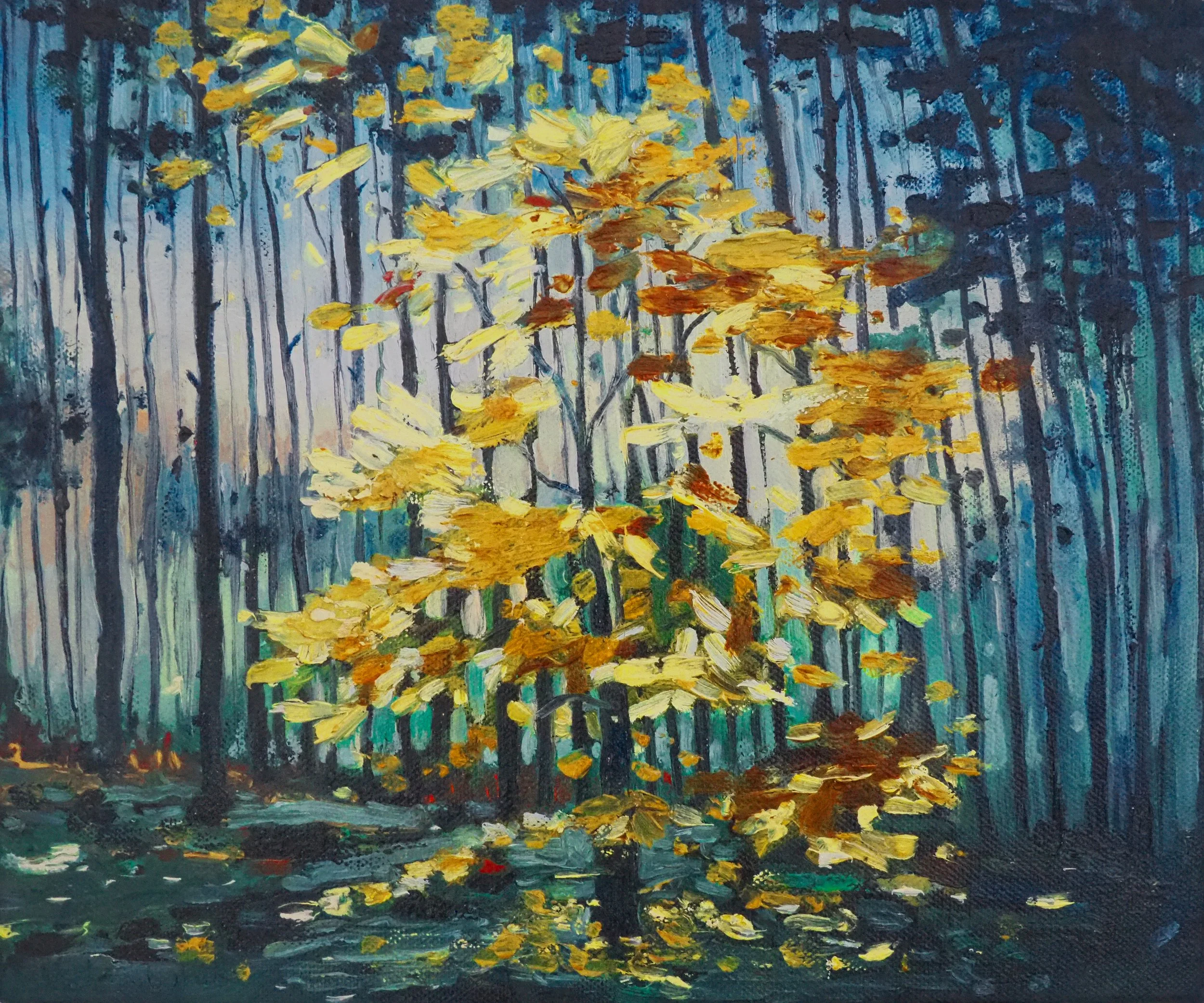 Autumn Beech, 2009, oil on canvas