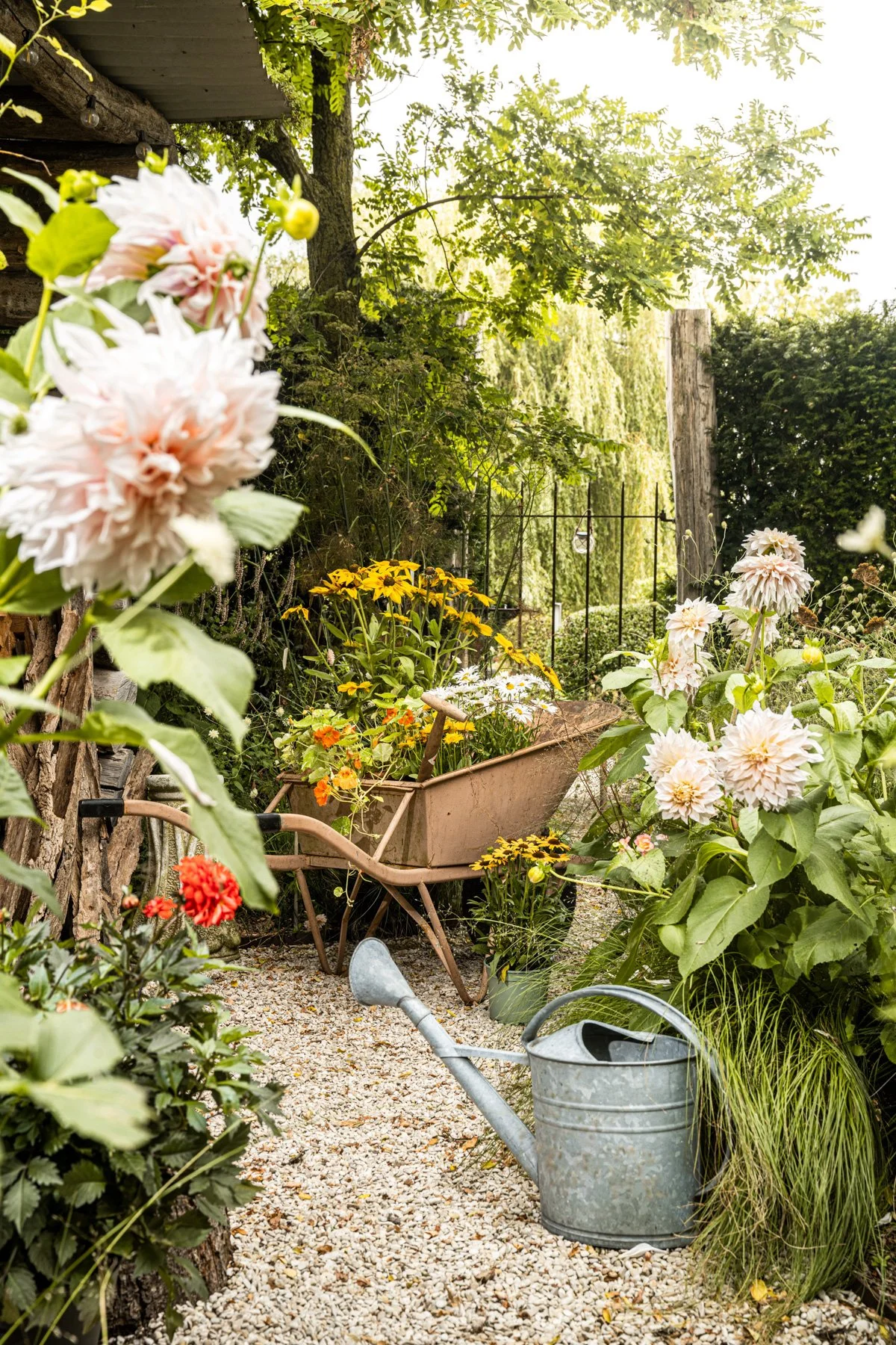 Libelle_tuin3_2024-8.jpg