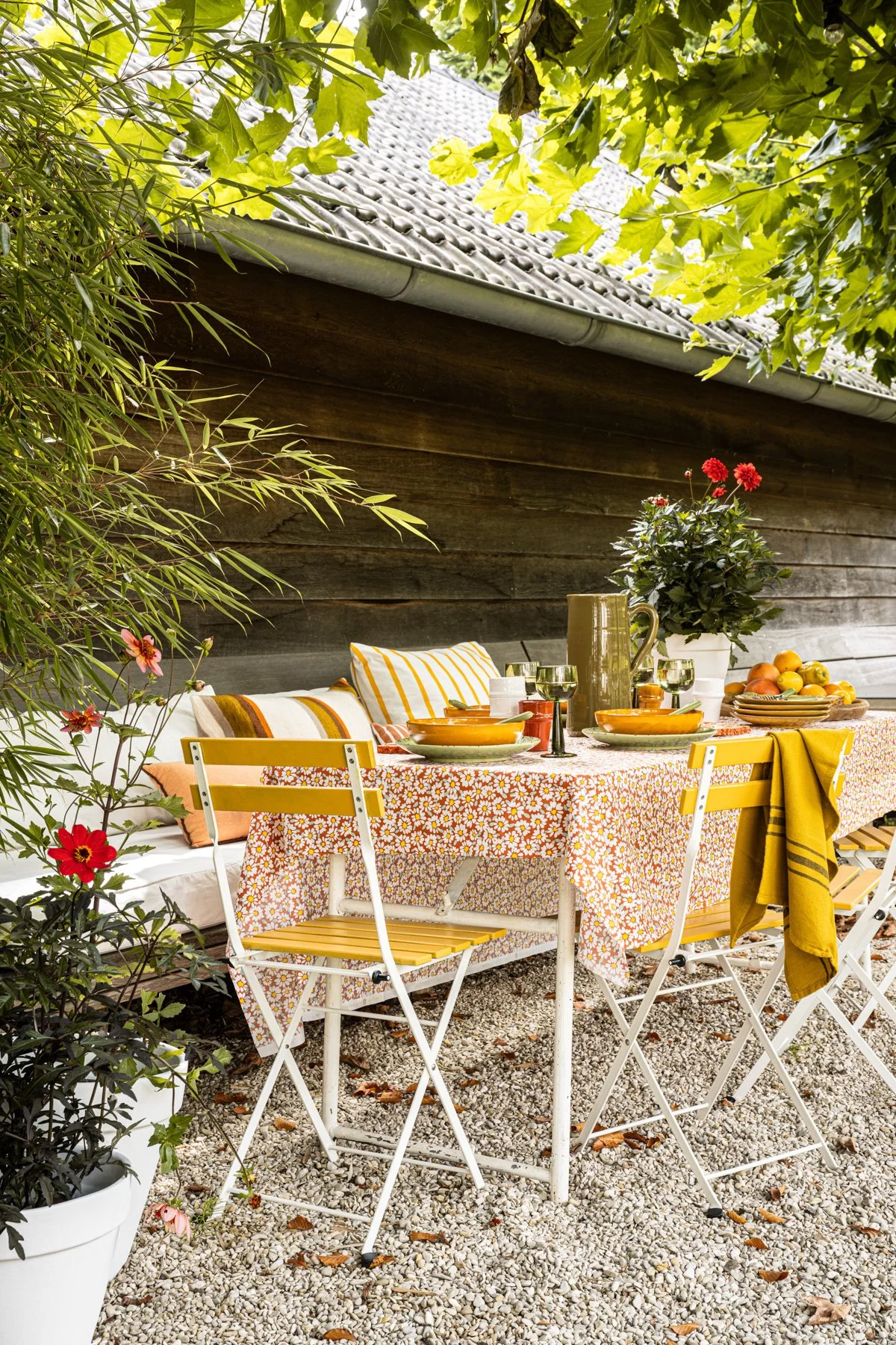 Libelle_tuin3_2024-3.jpg