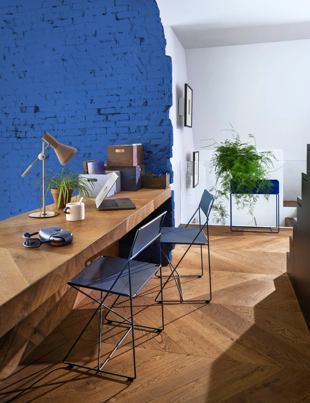 Stan Koolen Photography_Flexa_blauwbruin007.jpg