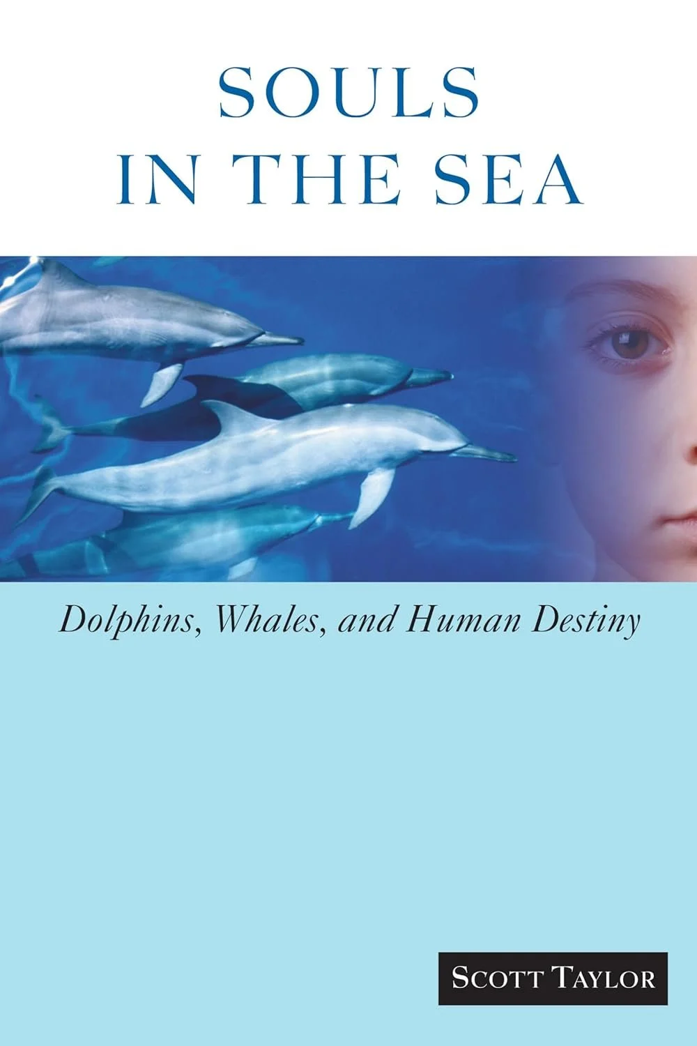 souls in the sea dolphins whales and human destiny scott taylor