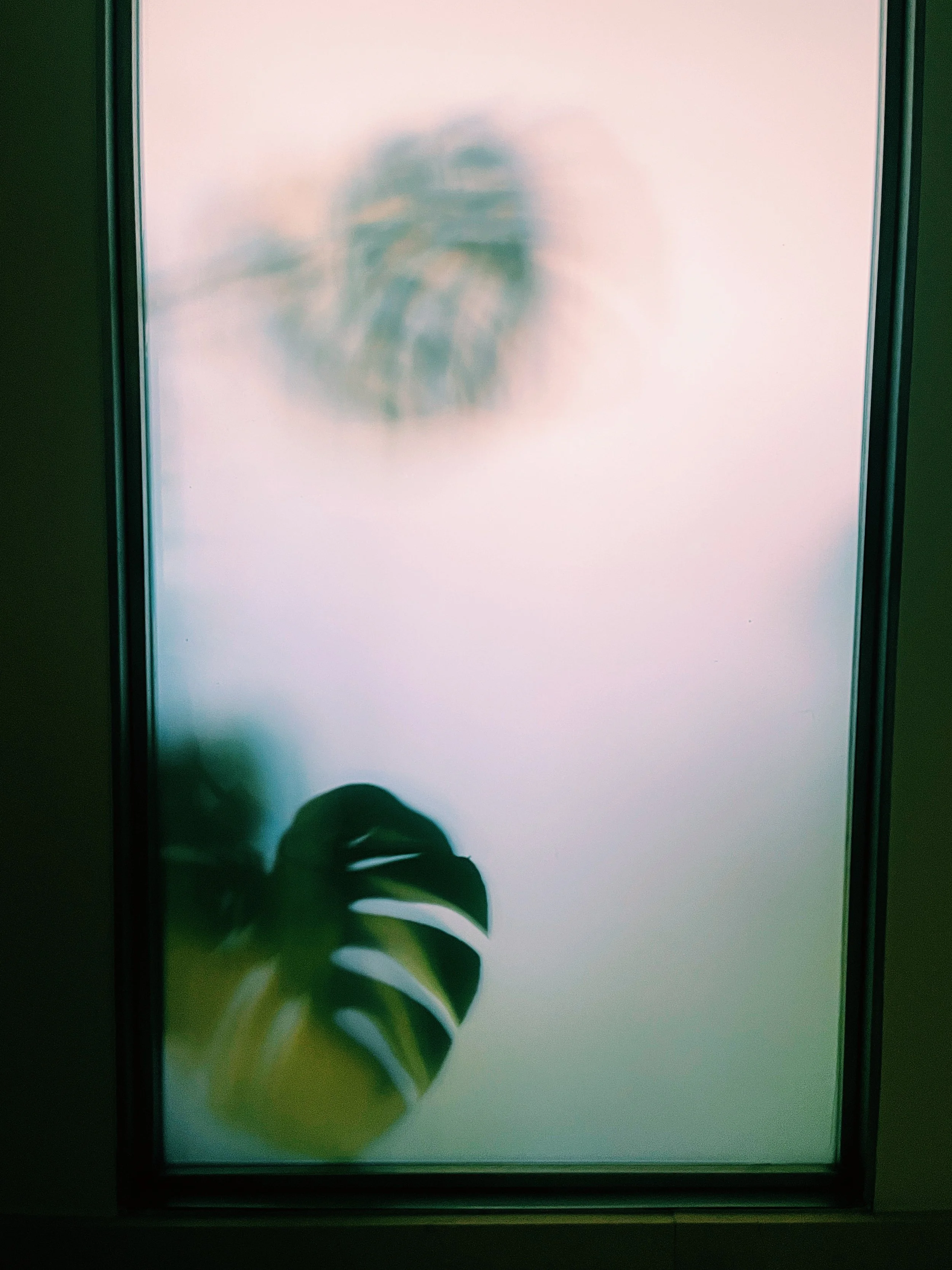 Frosted glass window with a green monstera leaf pressed against it and a blurry reflection of an eye looking through the glass.