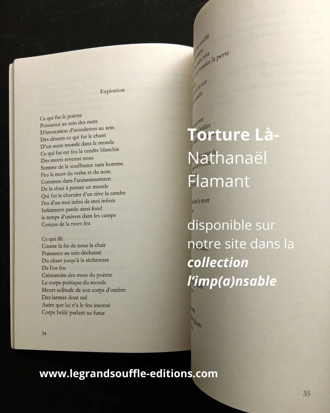 Livre-Torture-Là-nathanaël-flamant-intérieur