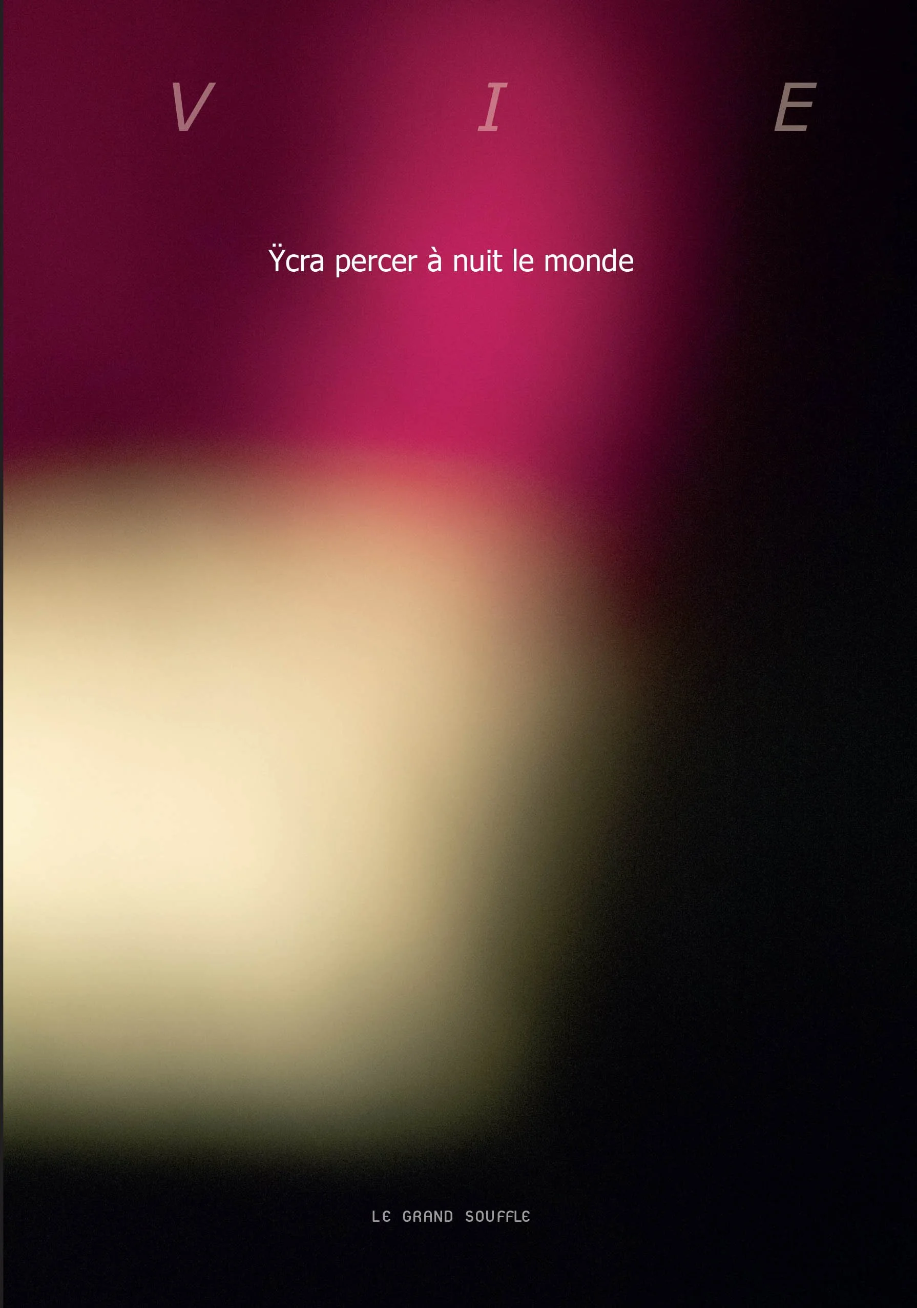 V I E LIVRE II  - ŸCRA PERCER À NUIT LE MONDE - François Richard