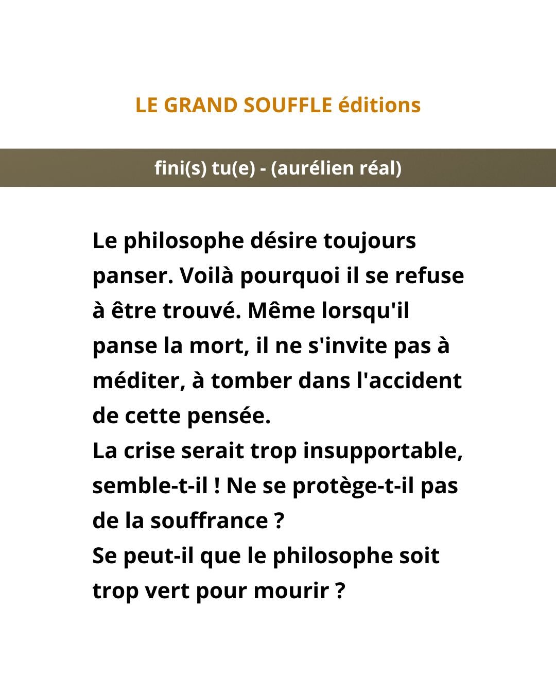 Fini(s)-tu(e )?-Expérience-nue-de-l'angoisse-aurélien-réal-livre-extrait-1