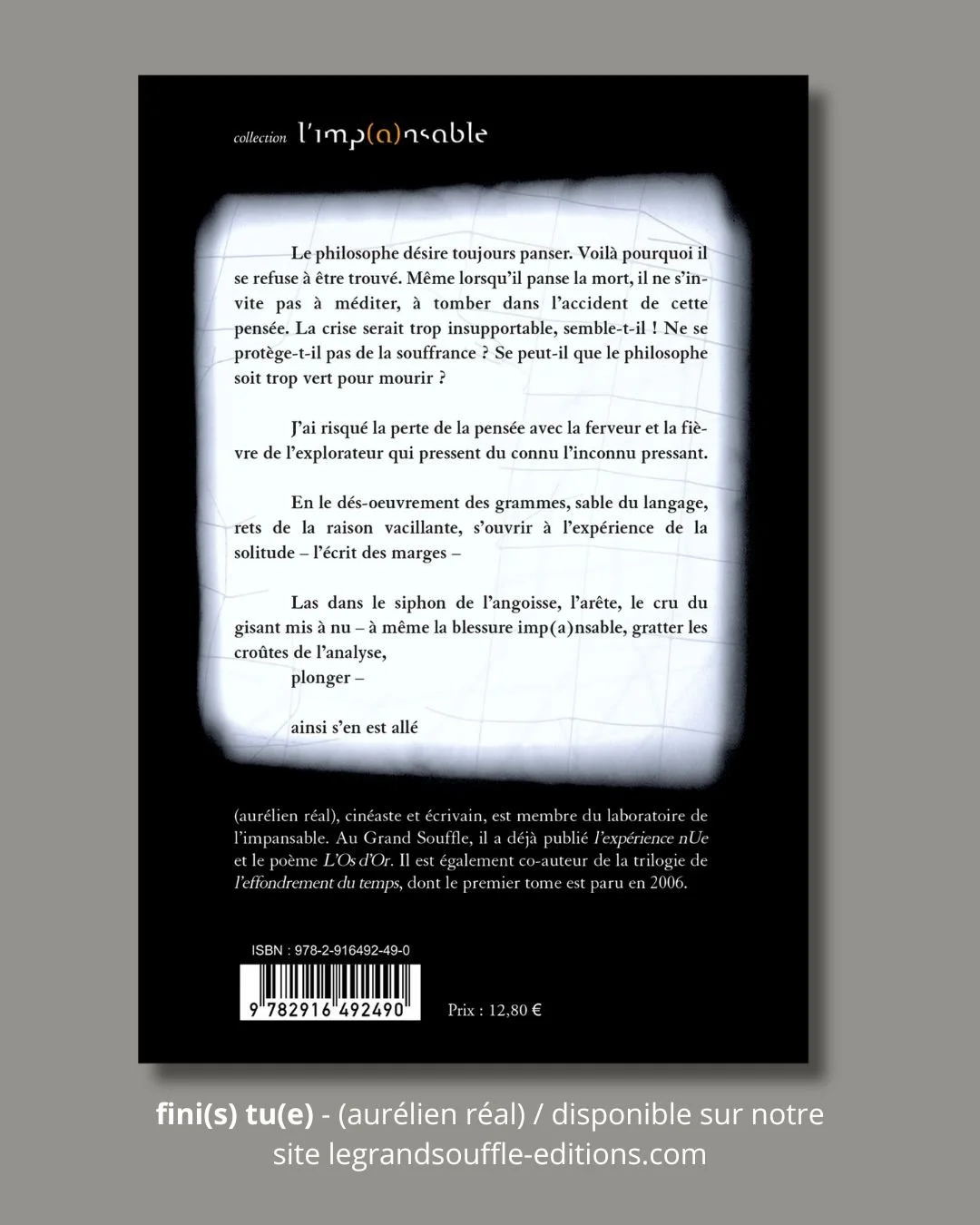 Fini(s)-tu(e )?-Expérience-nue-de-l'angoisse-aurélien-réal-livre-dos