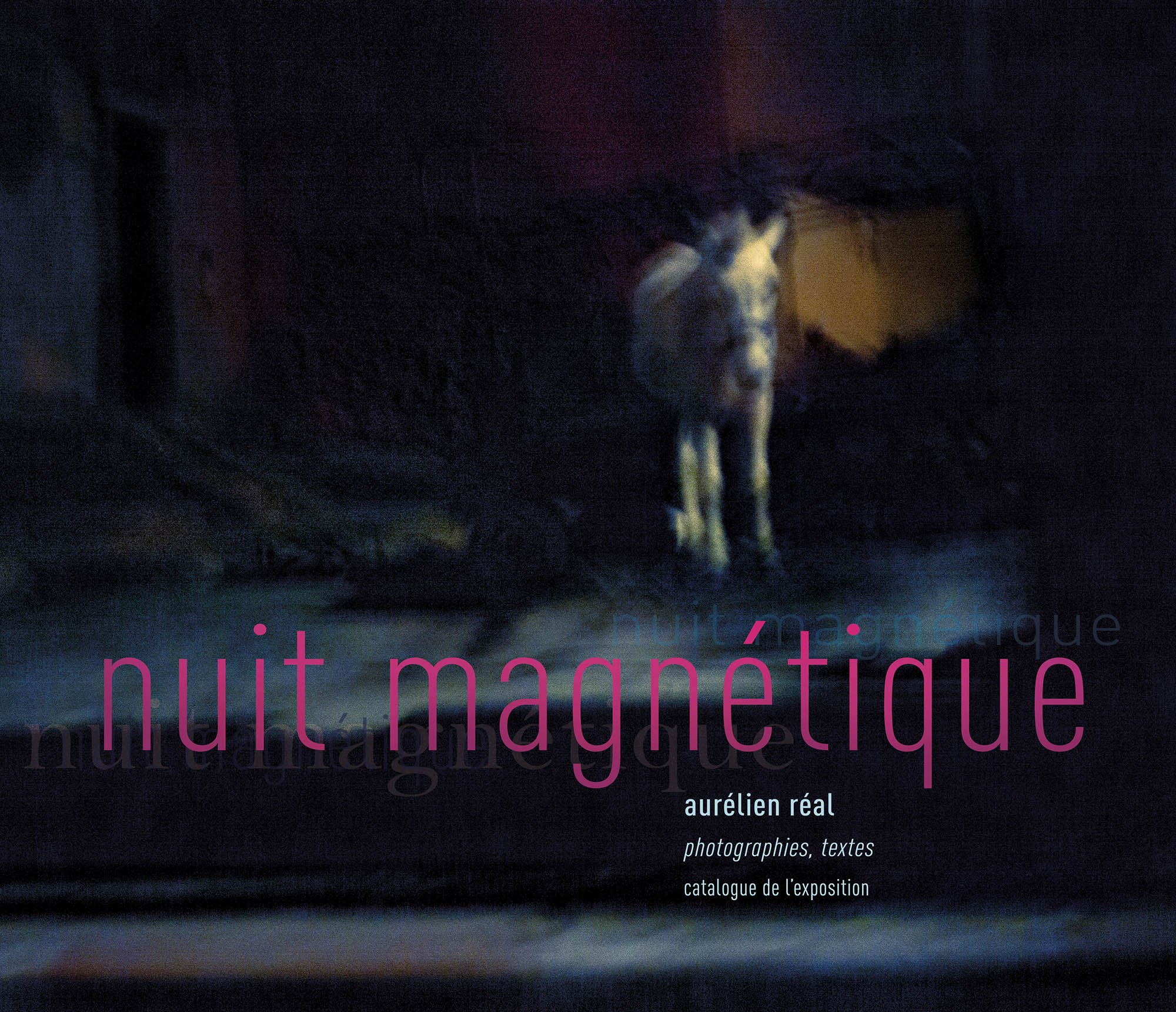 NUIT MAGNÉTIQUE - catalogue de l'exposition d'aurélien réal