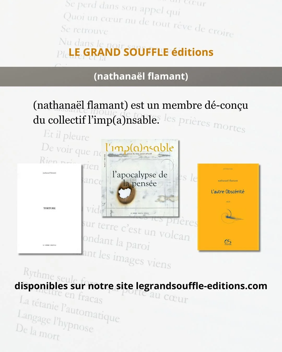 Livres-nathanaël-flamant-couvertures