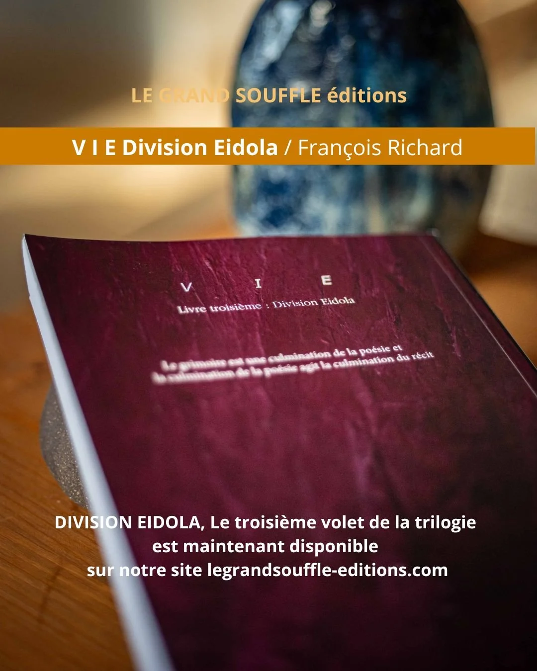 VIE-François-Richard-Livre 3 -Eidola-Photo-dos-1