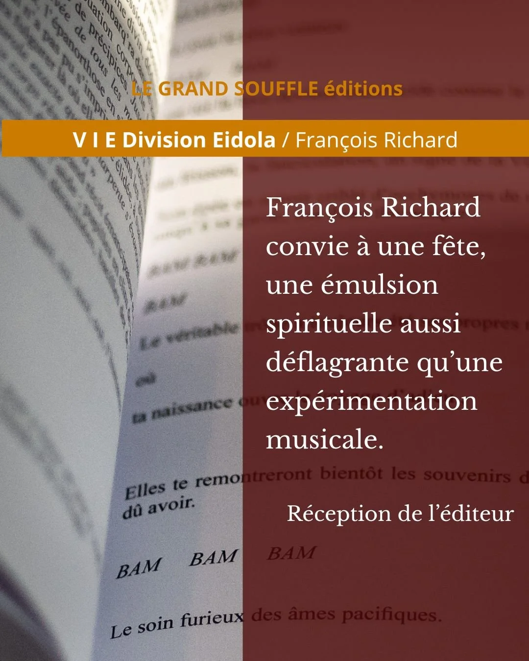 VIE-François-Richard-Livre 3 -Eidola-Photo-réception-editeur