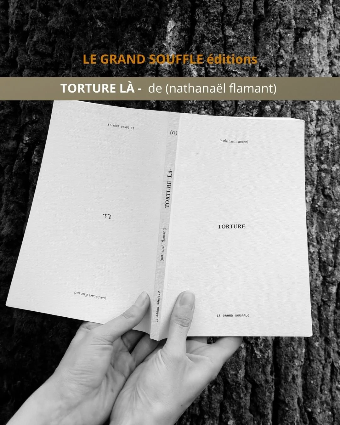 Livre-Torture-Là-nathanaël-flamant-couverture