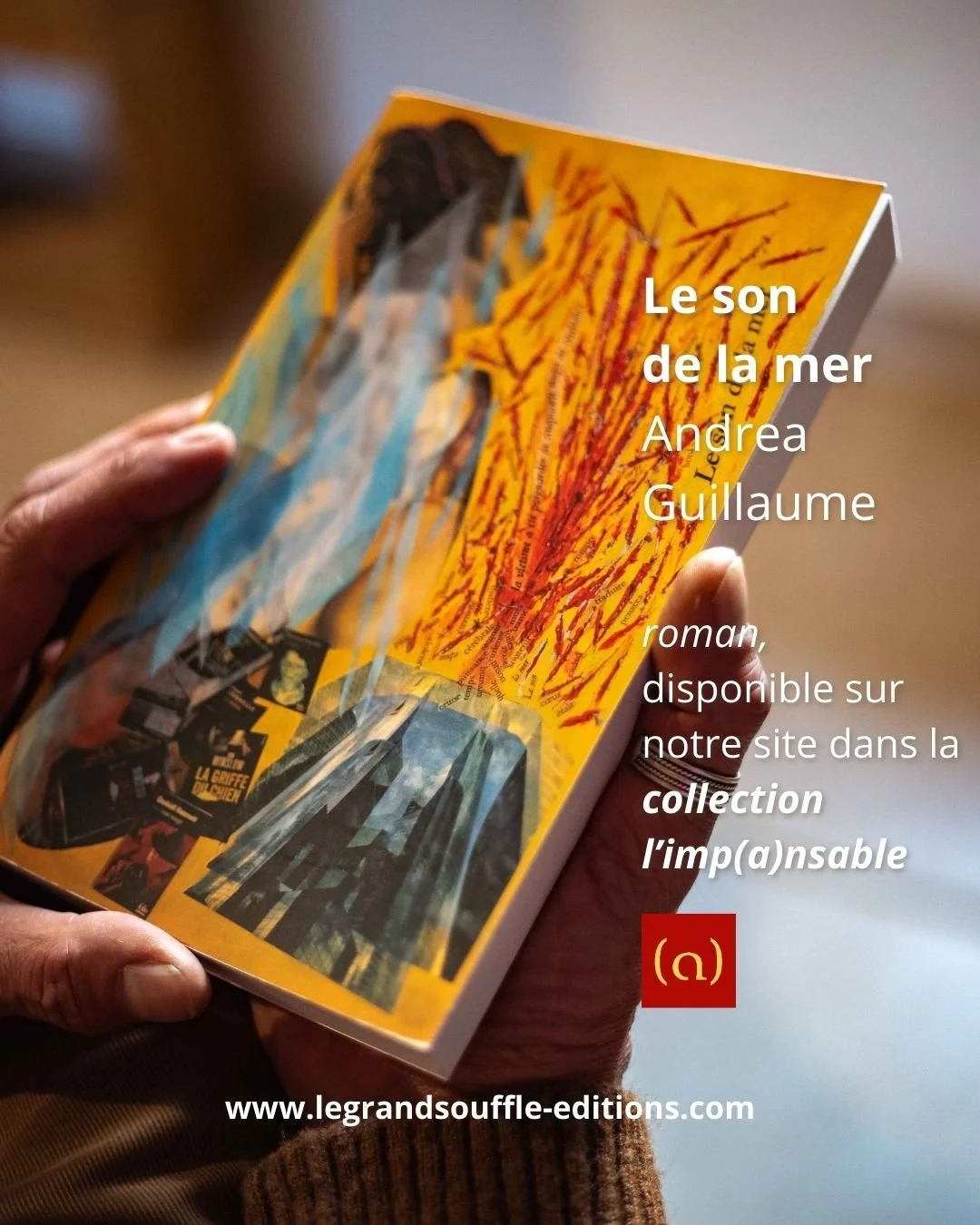 Le-son-de-la-mer-Andrea-Guillaume-livre-couverture-2