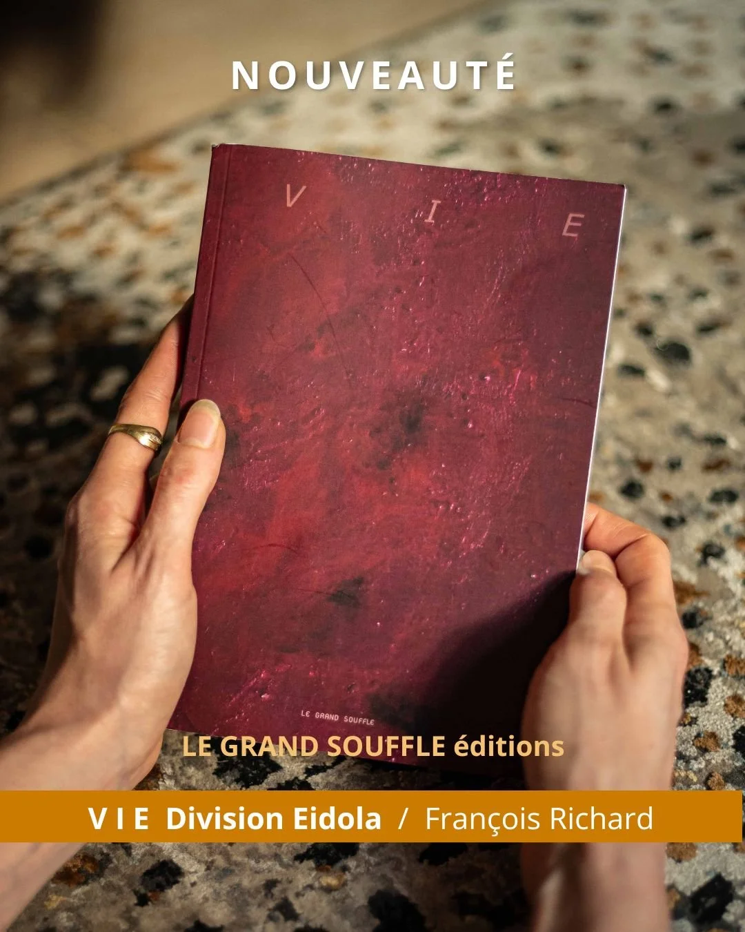 VIE-François-Richard-Livre 3 -Eidola-Photo-couverture-1