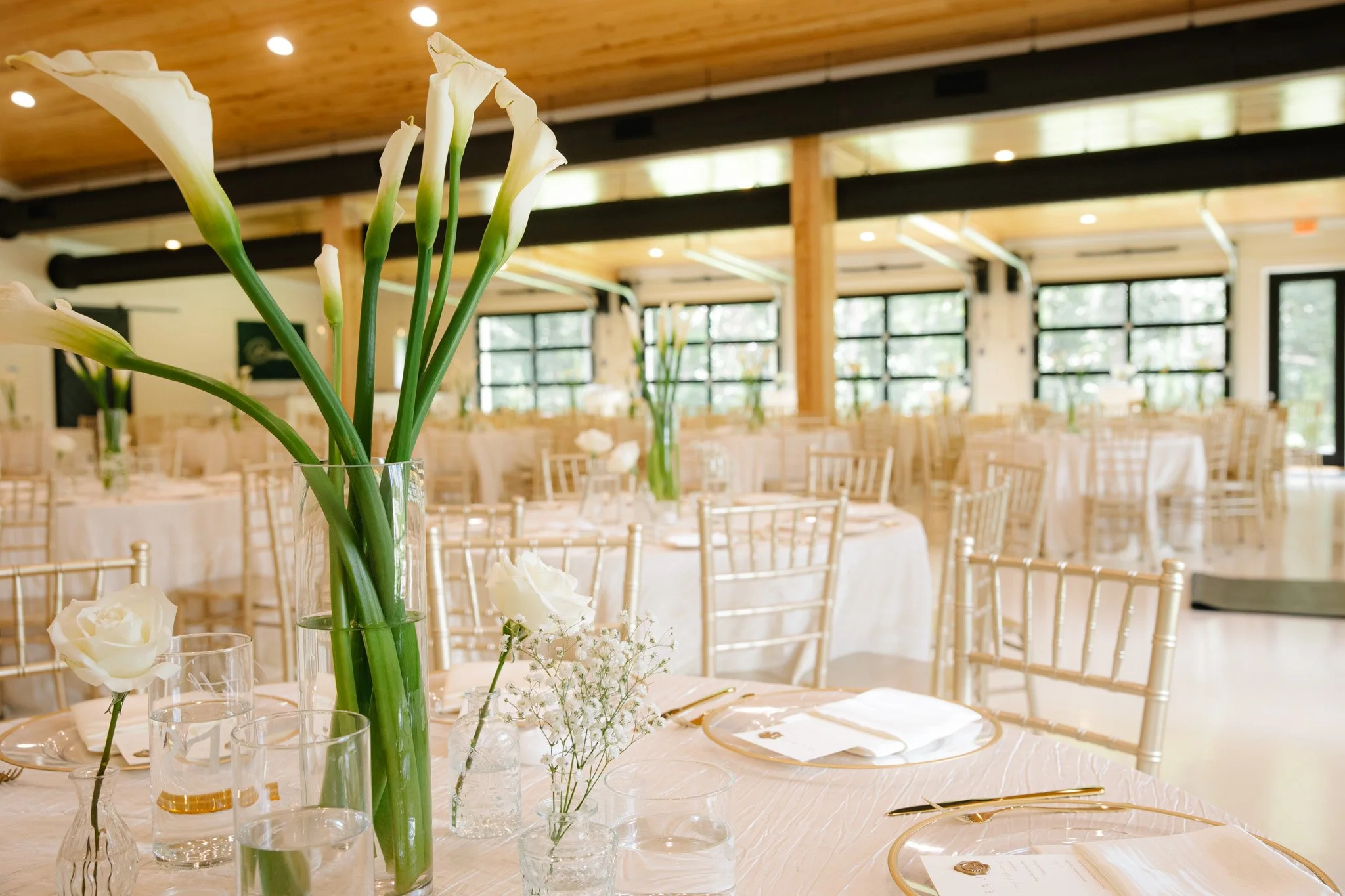 Tallahassee wedding, Tallahassee venue, Tallahassee wedding venues, Wedding venues Tallahassee, Wedding venues Tallahassee FL, Outdoor wedding ceremony, Wedding Venues in Tallahassee, Wedding Venue Tallahassee