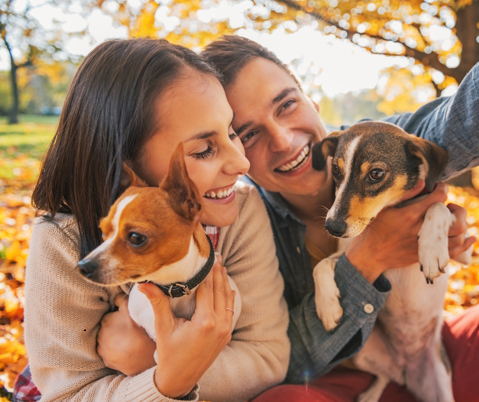 Couples Guide to Adopting a Pet in Tallahassee