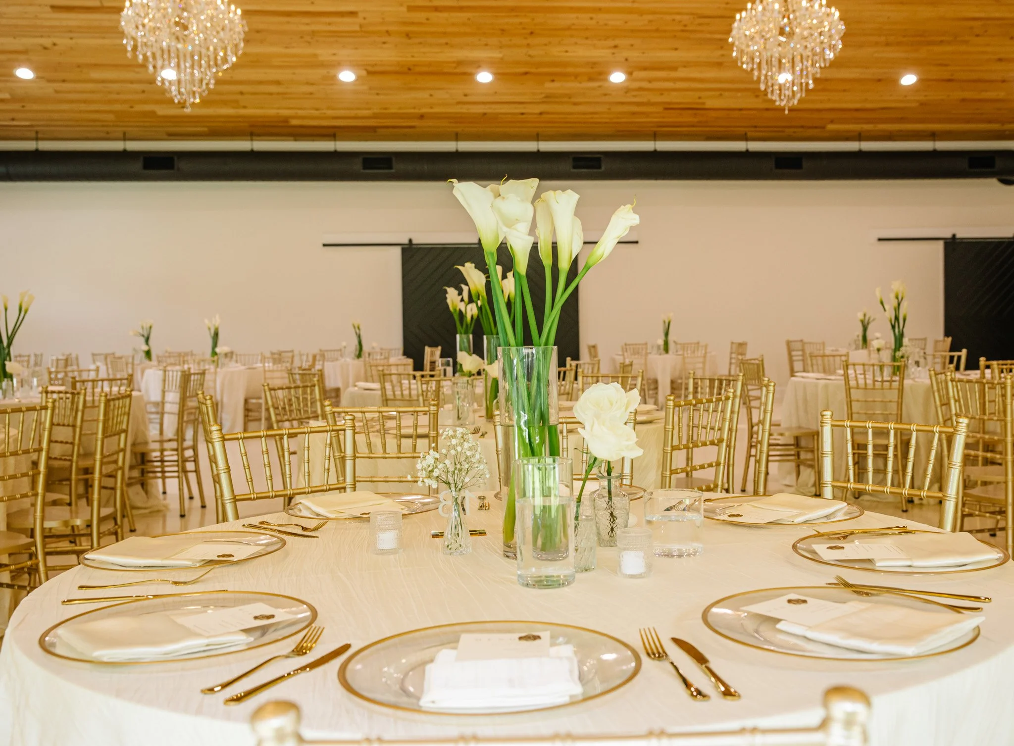 Tallahassee wedding, Tallahassee venue, Tallahassee wedding venues, Wedding venues Tallahassee, Wedding venues Tallahassee FL, Outdoor wedding ceremony, Wedding Venues in Tallahassee, Wedding Venue Tallahassee