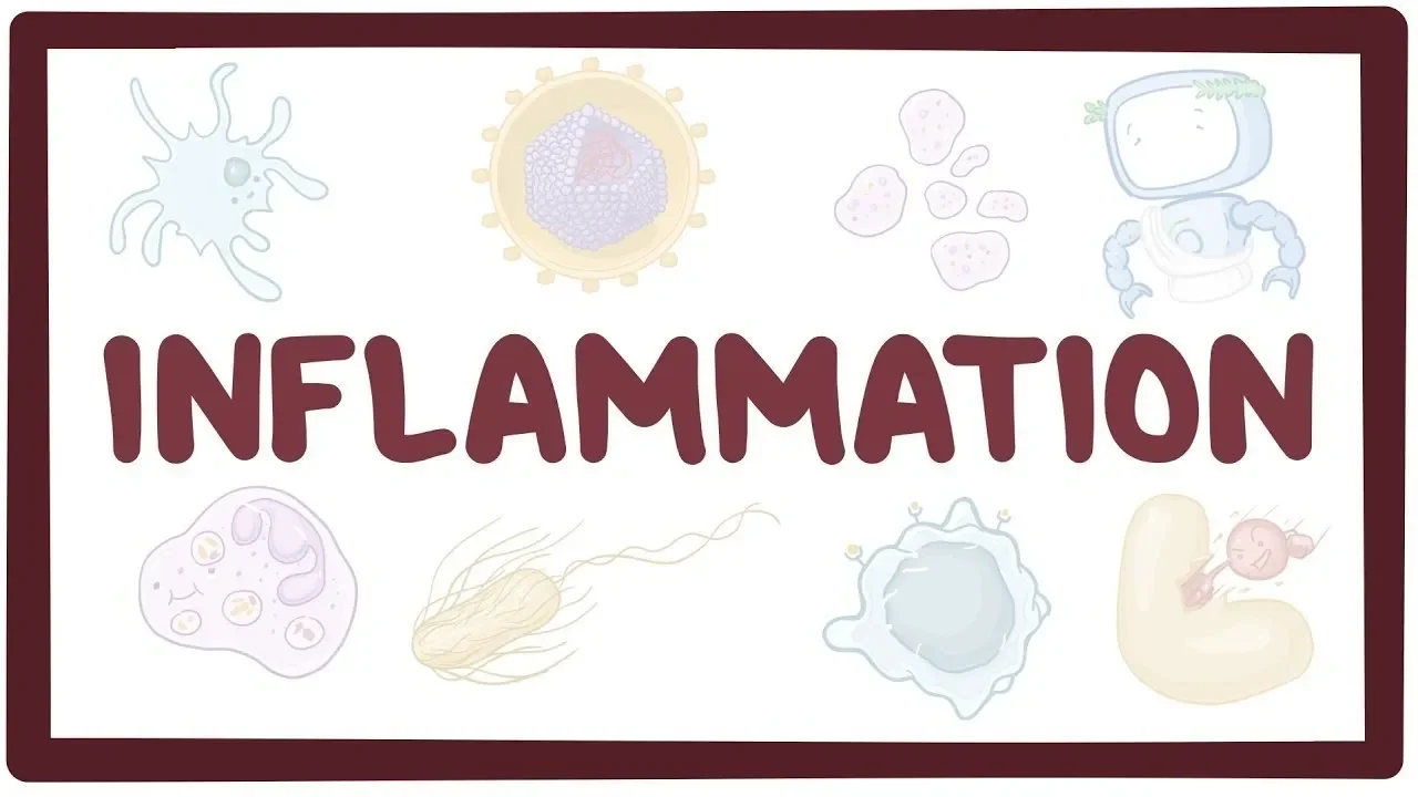 Inflammation &amp; Weight Loss