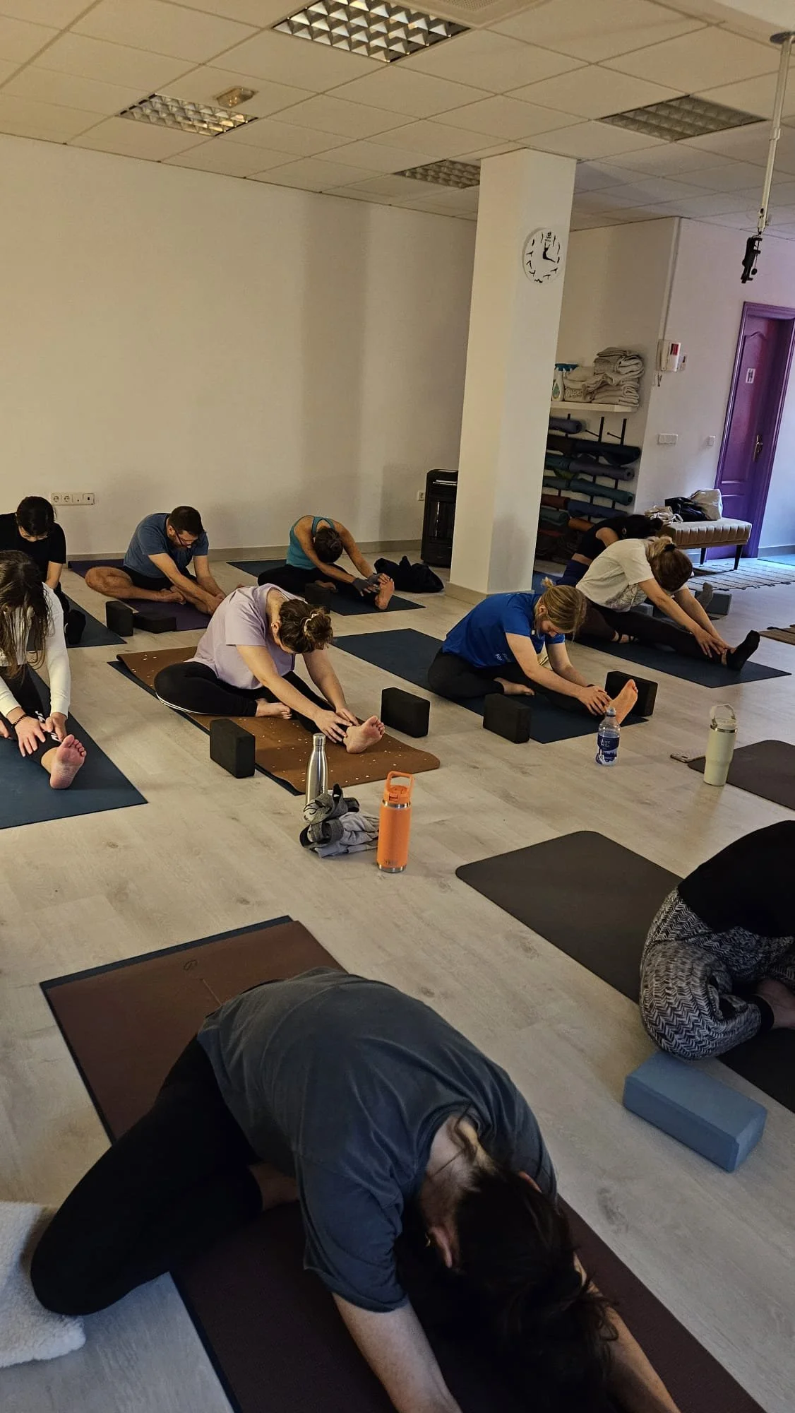 Hatha Yoga, Yin Yoga Or Meditation? How To Choose the Right Yoga Class in Madrid