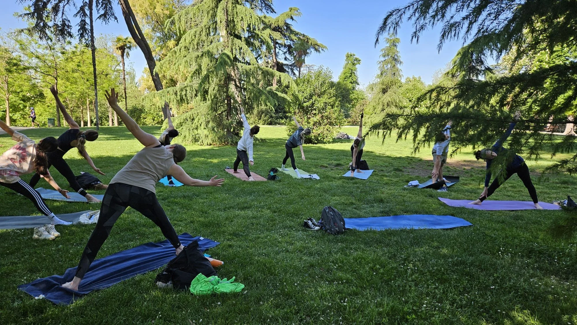 Image in a park of people in a circle doing a yoga pose
