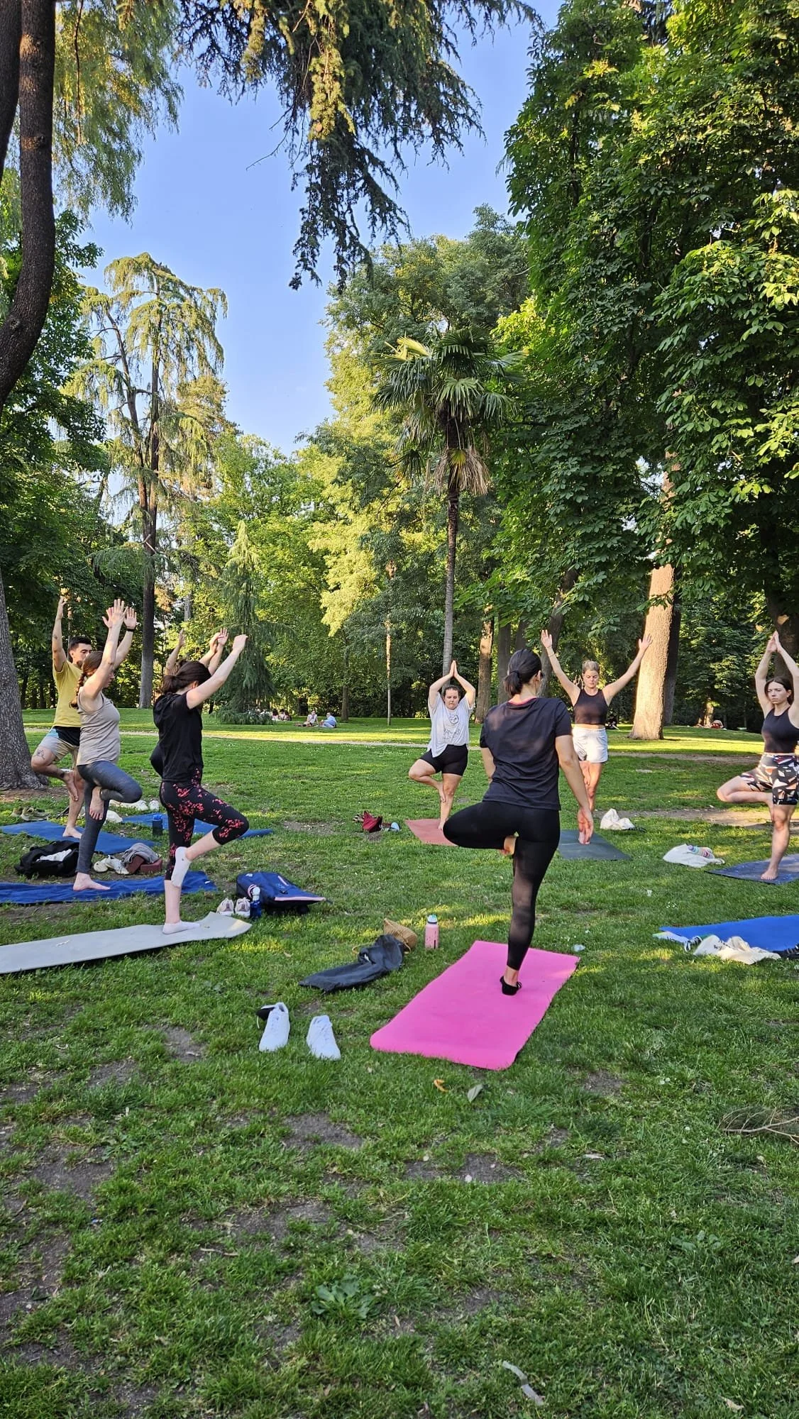 Tree pose in Retiro Park group yoga class