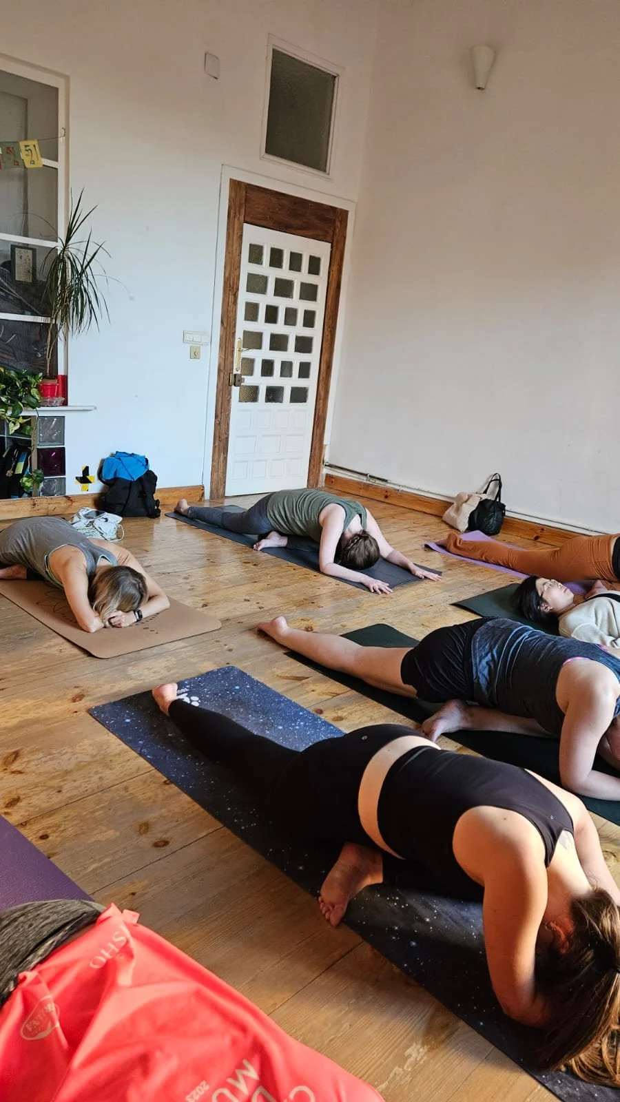 Group of people practising yoga in central Madrid