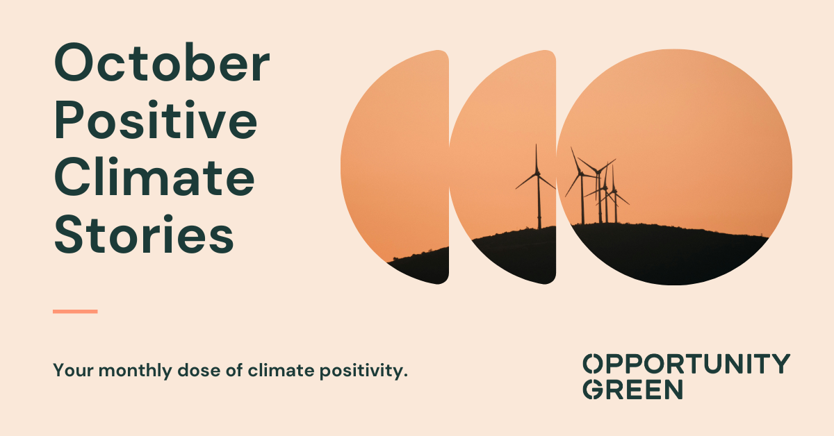 Positive Climate Stories in October