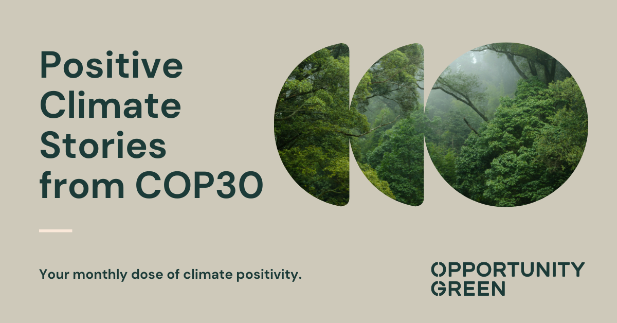 Positive Climate Stories from COP30