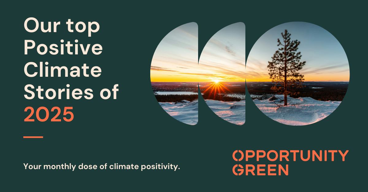 Our top Positive Climate Stories of 2025
