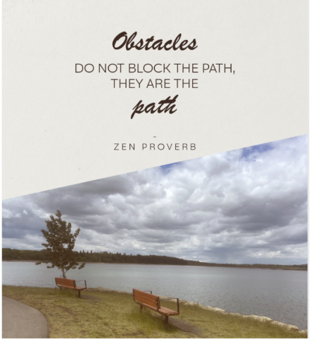 ~obstacles ~