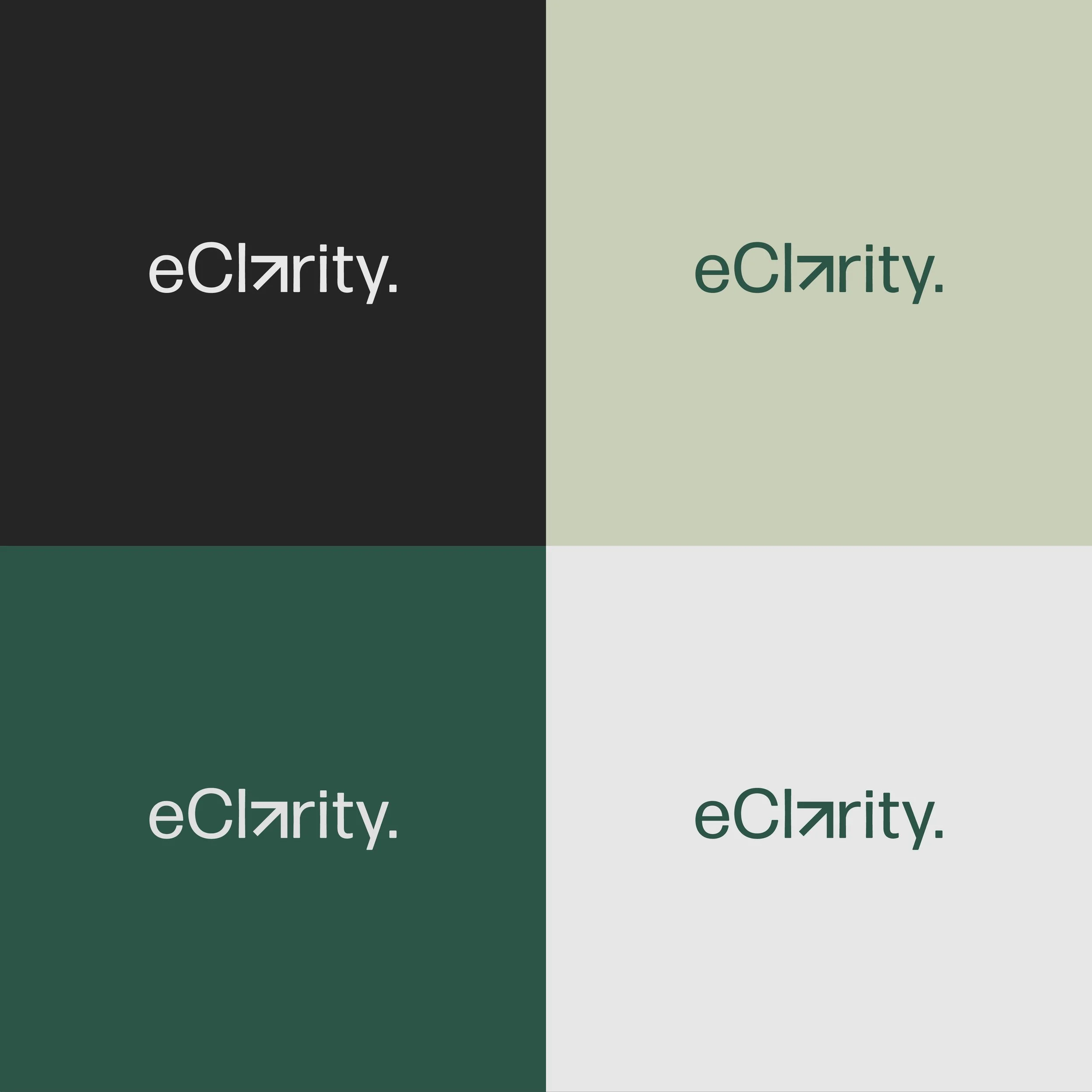 eClarity Branding-03.jpg