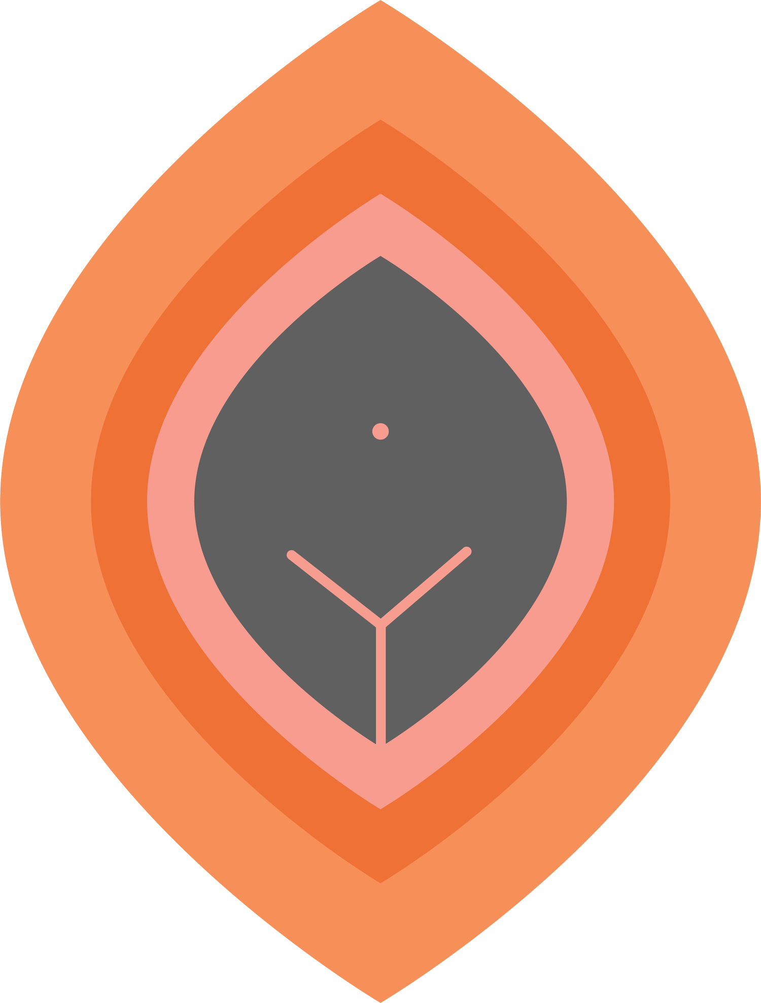 Zachi&#39;s portfolio