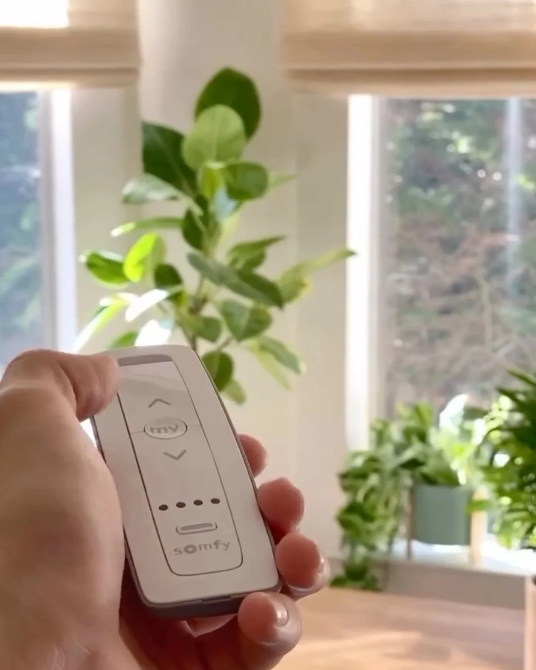 Our featured brand this month is Somfy. While many of their products are virtually invisible, they make a huge difference for homeowners! Somfy provides motorization for your window treatments as well as other smart home solutions, bringing ease and 
