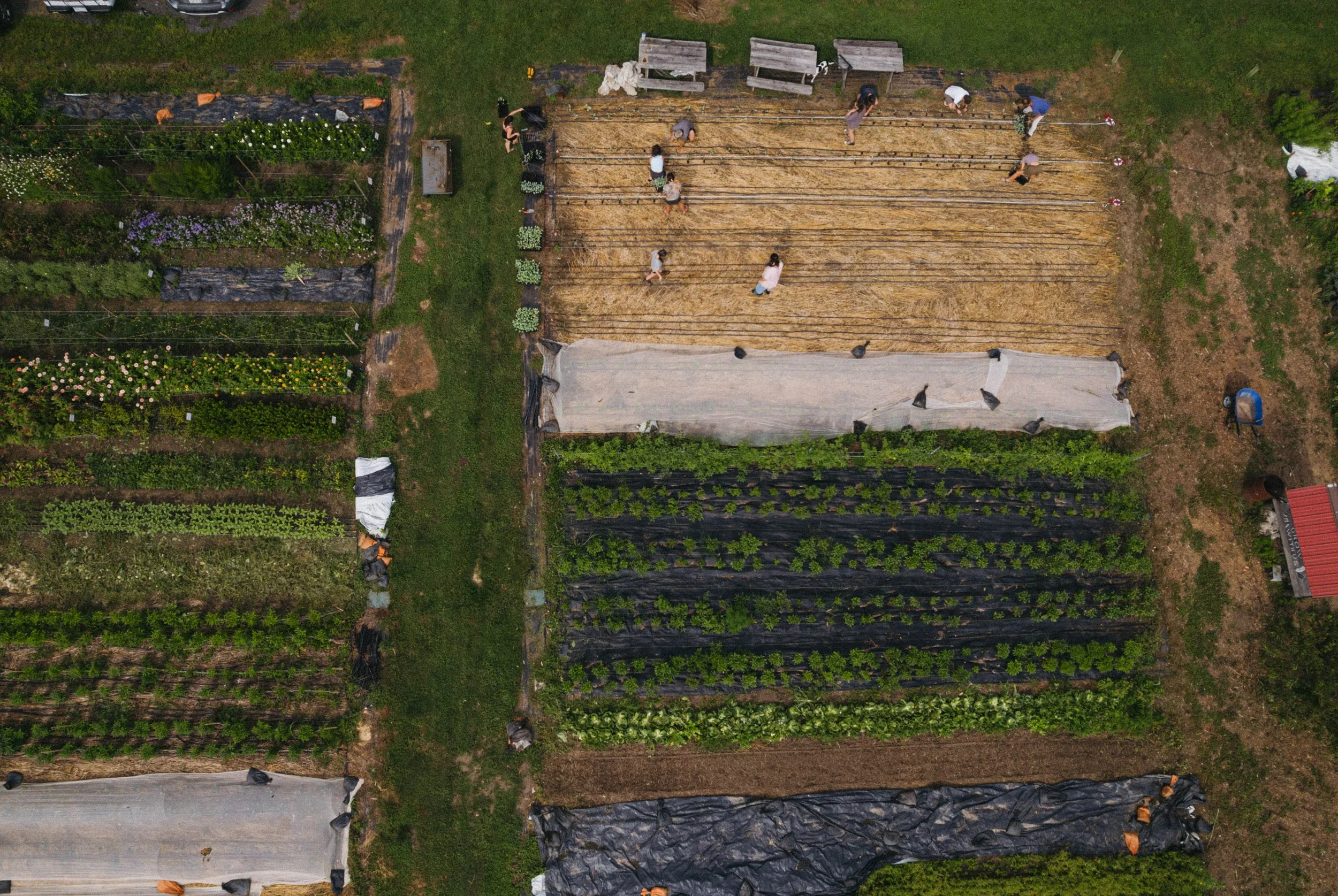 DJI_0267.jpg