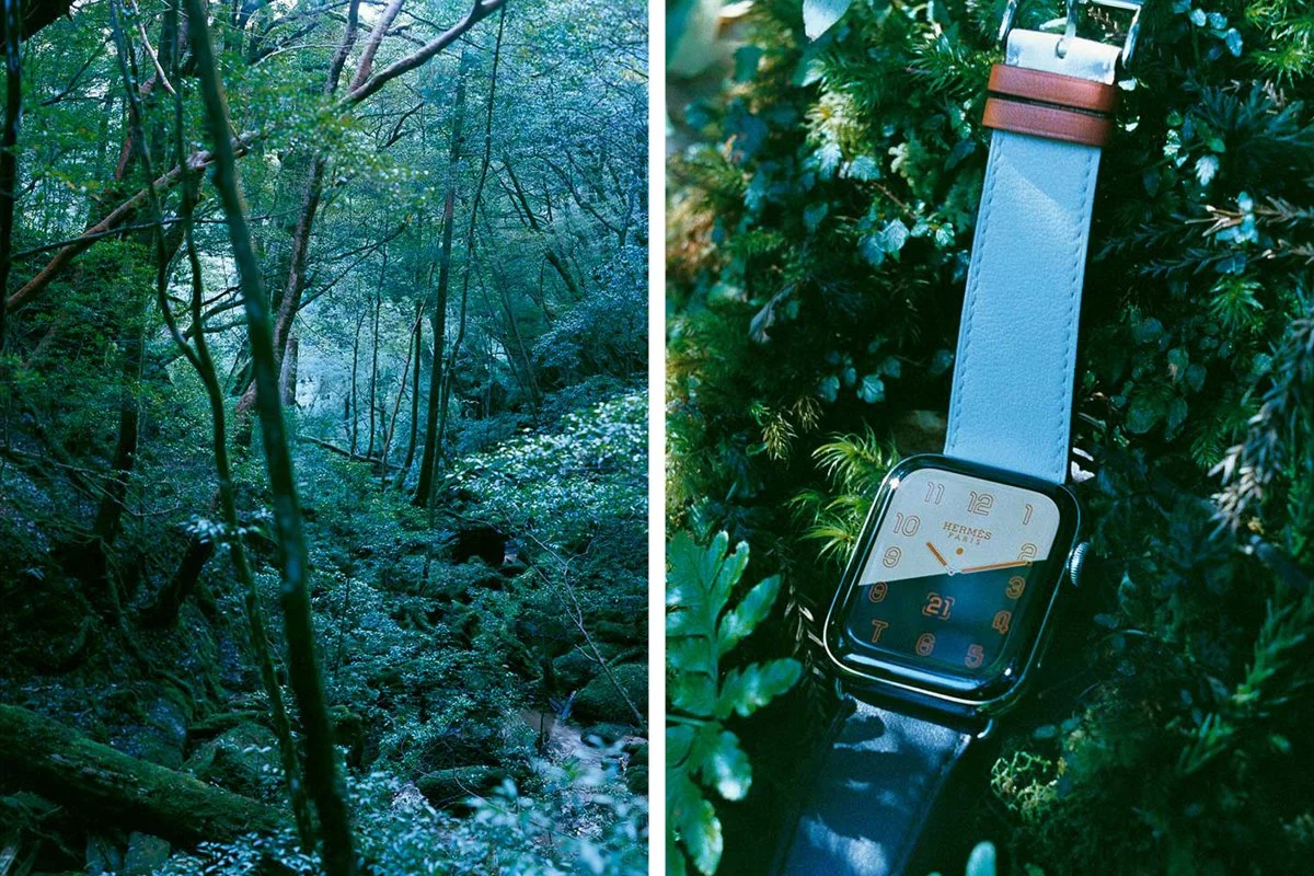 Apple x Hermès