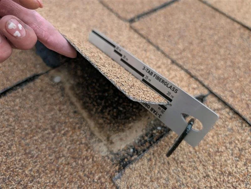 A lone tree with bent branches and sparse leaves on a grassy hill during foggy weather with another tree in the background.