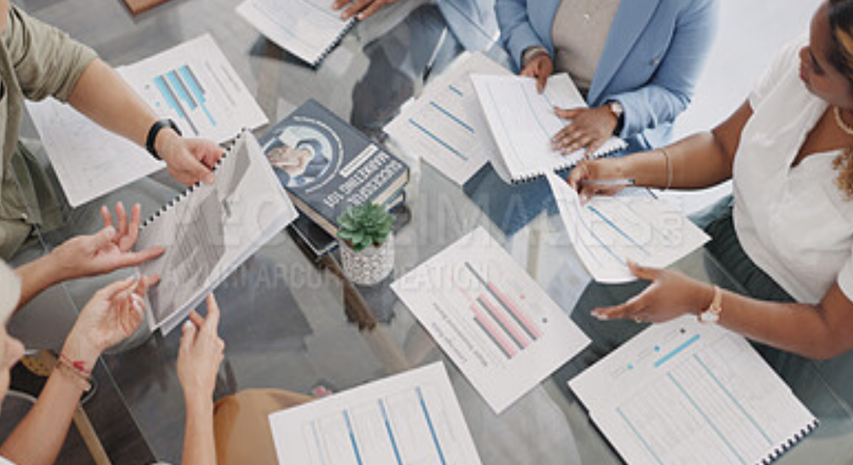 The Strategic Roadmap: How Business Plan Consulting Identifies Blind Spots Before You Pitch