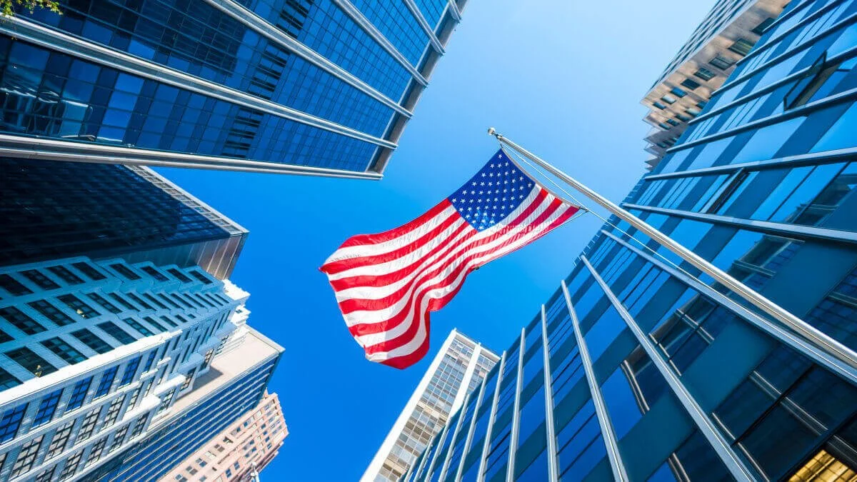 Professional reviewing United States immigration and business documentation
