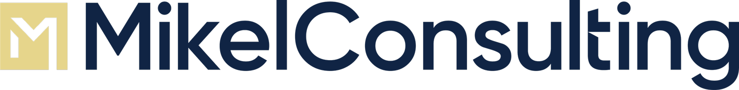 Mikel Consulting