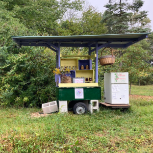 Morning Glory & Bumble Bee (31).png