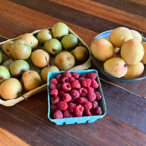 Morning Glory & Bumble Bee (15).png