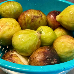 Morning Glory & Bumble Bee (13).png