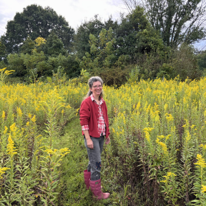 Morning Glory & Bumble Bee (4).png