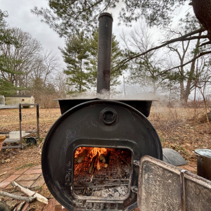 Morning Glory & Bumble Bee (30).png