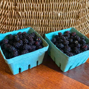 Morning Glory & Bumble Bee (14).png