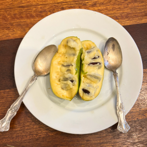 Morning Glory & Bumble Bee (20).png