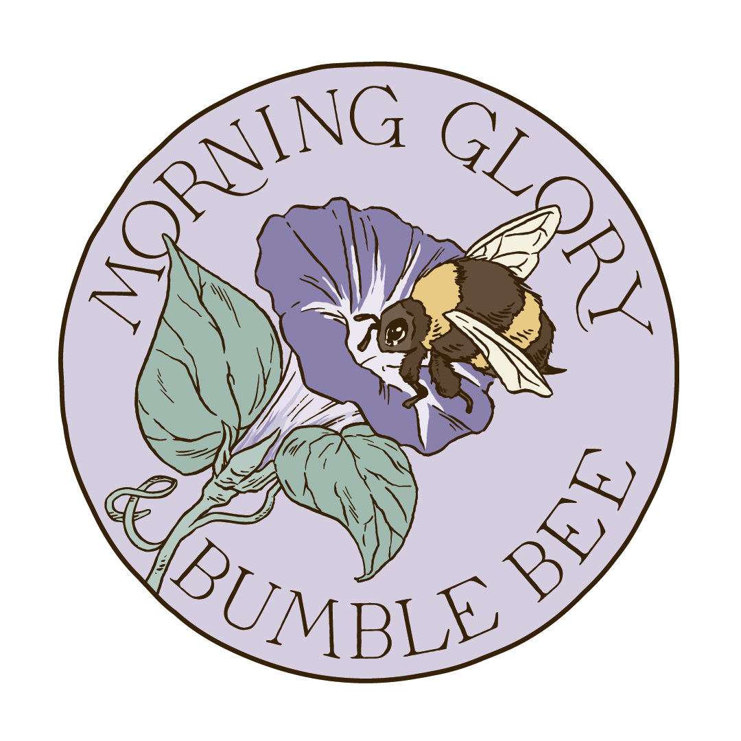 Morning Glory &amp; Bumble Bee