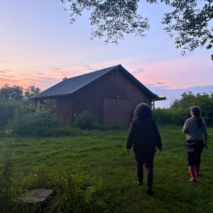 Morning Glory & Bumble Bee (26).png