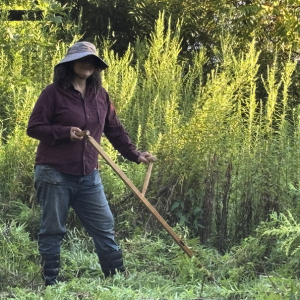 Morning Glory & Bumble Bee (2).png