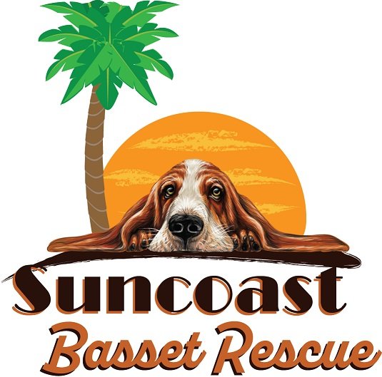 Sun Coast Basset Rescue